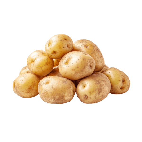 Junge Kartoffeln vom Geflügelhof Ruh