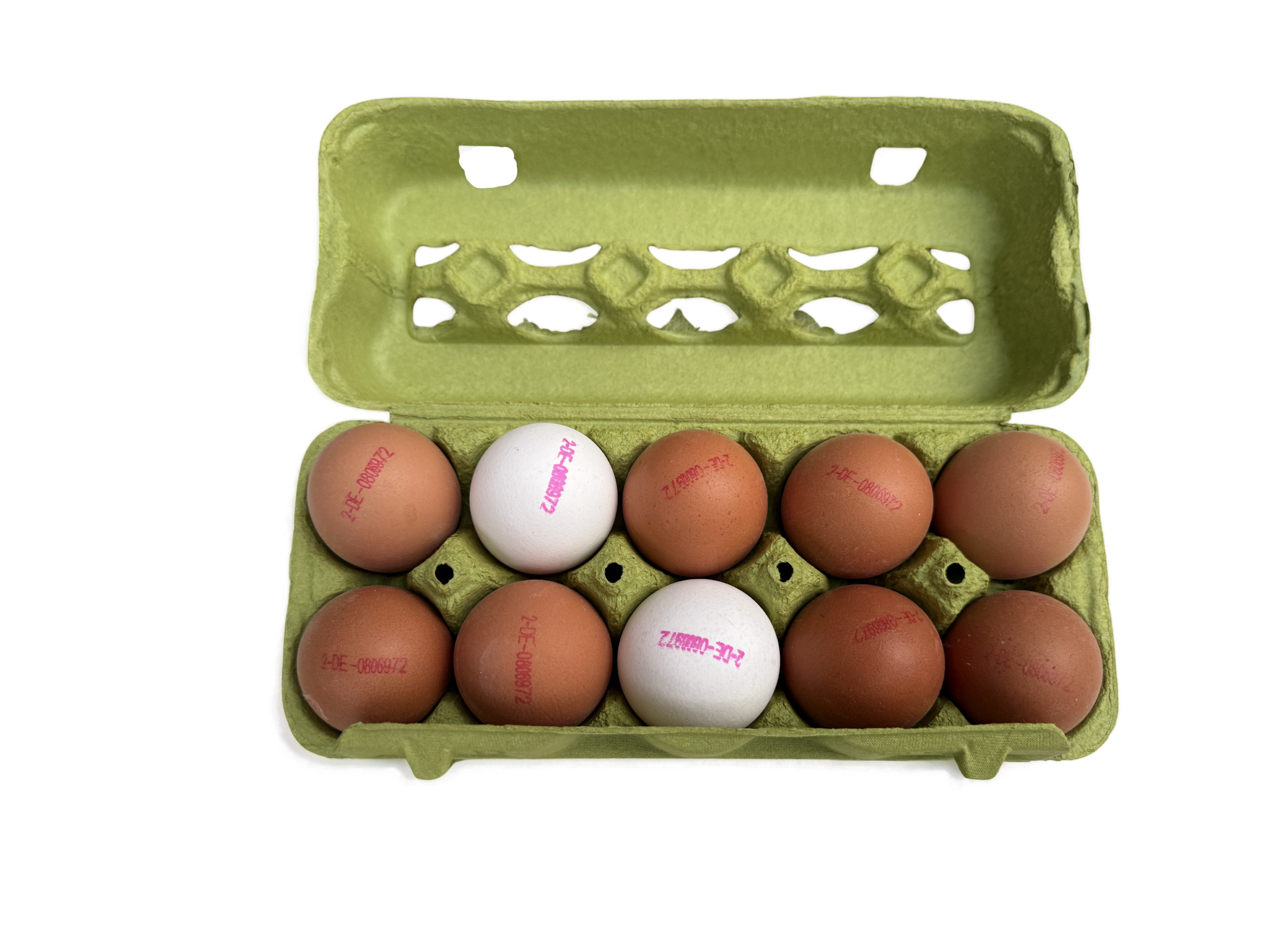Bio-Eier vom Geflügelhof Ruh